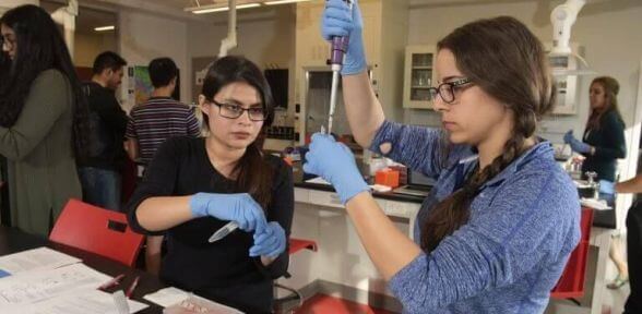 Students performing cell biology in the STEM Center for Science and Health Professions at the University of St. Thomas in Houston, Texas