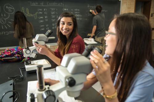 Two undergraduate STEM students seated at microscopes in classroom at the University of St. Thomas in Houston, Texas