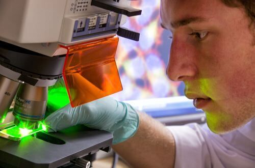 Biology student at the University of St. Thomas - Houston uses microscope