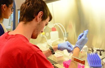 Students at the University of St. Thomas - Houston conduct research in the lab