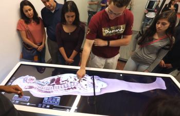 Students at the University of St. Thomas - Houston work at the Anatomage table in the biology lab