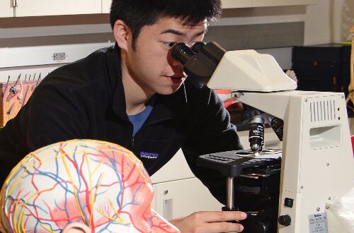 Male student using microscope at University of St. Thomas - Houston