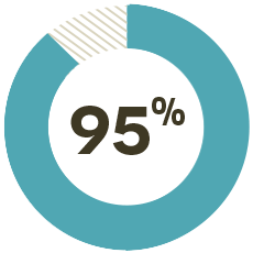 95% of University of St. Thomas - Houston pre-med students who interview are accepted to medical school