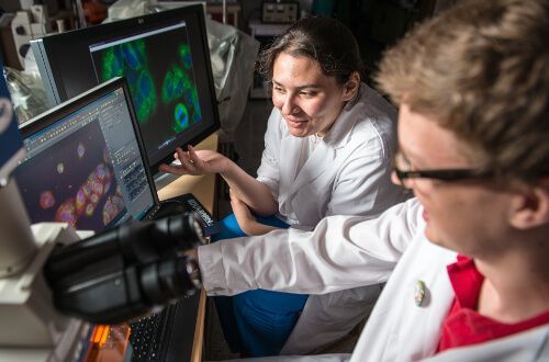 Male students in lab at University of St. Thomas - Houston