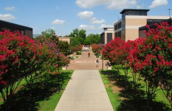 Campus walking path at University of St. Thomas in Houston, Texas