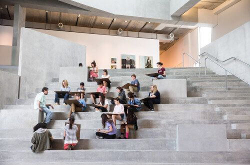 BFA in Studio Arts University of St. Thomas - Houston students draw at the Glassell School of Art