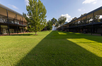 University of St. Thomas - Houston Academic Mall