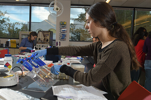 500X330_A&S_NaturalSciences_Intro