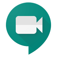 Google Meeting Tutoring at University of St. Thomas in Houston, Texas
